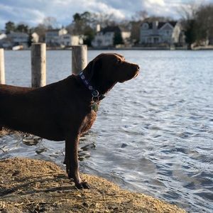 Meet your Posher, Chris